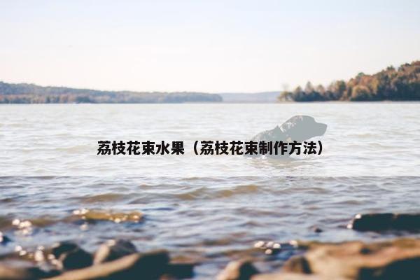 荔枝花束水果（荔枝花束制作方法）