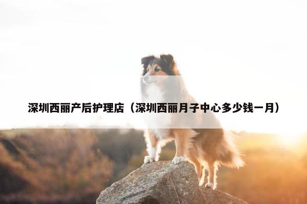 深圳西丽产后护理店（深圳西丽月子中心多少钱一月）