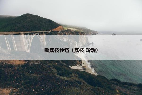 吸荔枝铃铛（荔枝 玲珑）