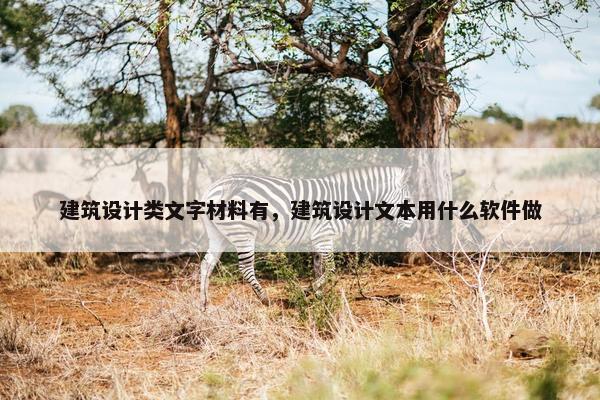 建筑设计类文字材料有，建筑设计文本用什么软件做