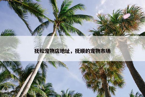 抚松宠物店地址，抚顺的宠物市场