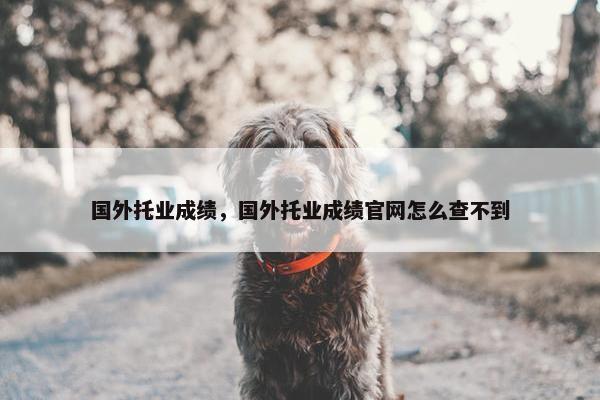 国外托业成绩，国外托业成绩官网怎么查不到