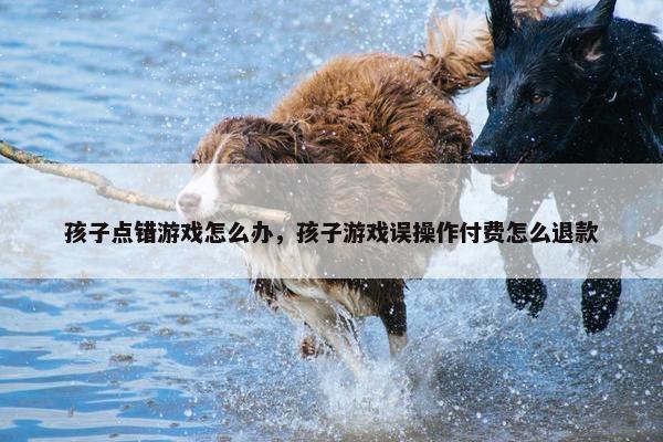 孩子点错游戏怎么办，孩子游戏误操作付费怎么退款