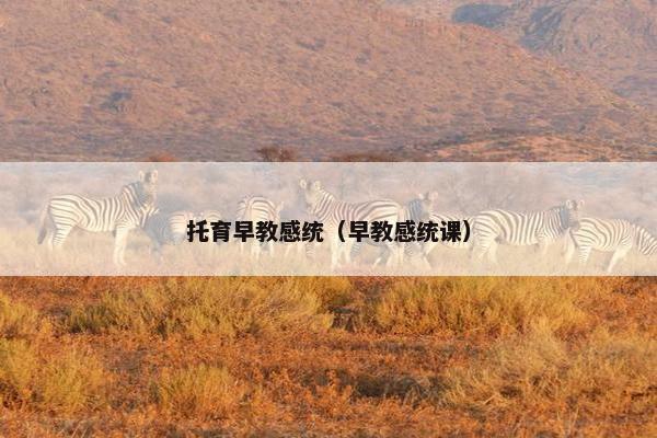 托育早教感统（早教感统课）