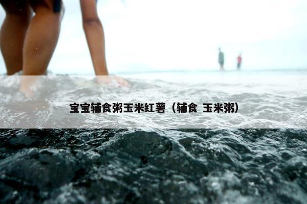 宝宝辅食粥玉米红薯（辅食 玉米粥）