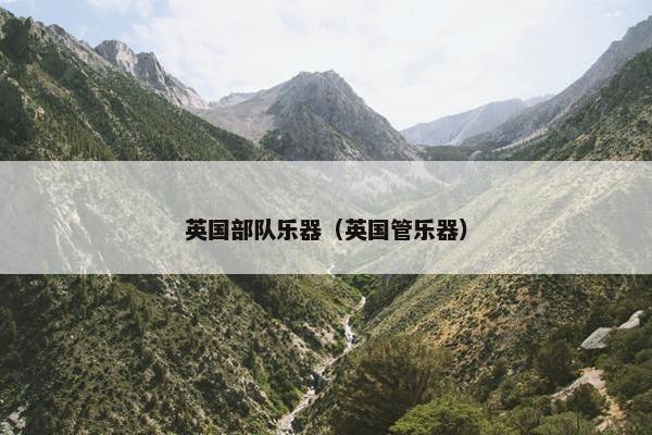 英国部队乐器（英国管乐器）