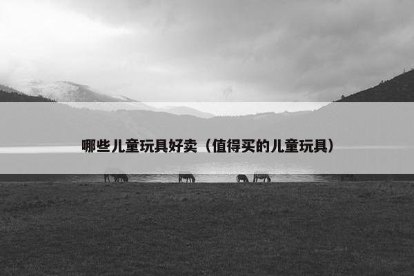 哪些儿童玩具好卖（值得买的儿童玩具）
