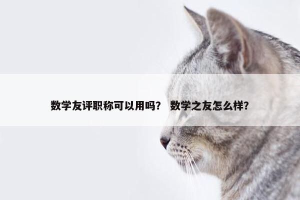 数学友评职称可以用吗？ 数学之友怎么样？