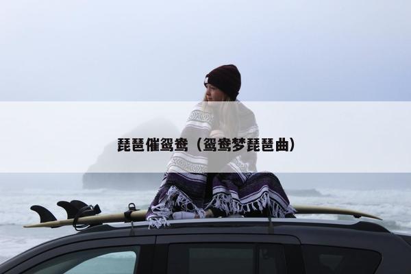 琵琶催鸳鸯（鸳鸯梦琵琶曲）