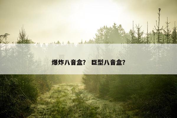爆炸八音盒？ 巨型八音盒？