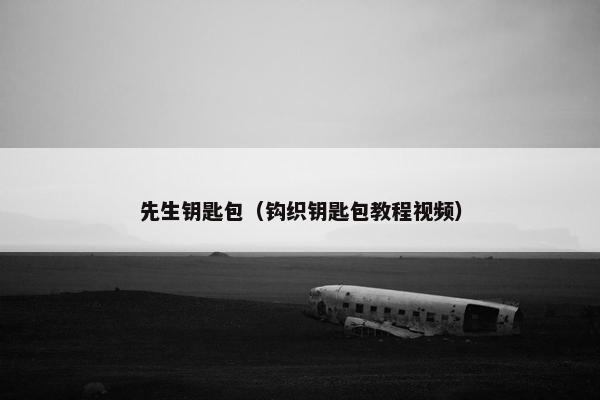 先生钥匙包（钩织钥匙包教程视频）