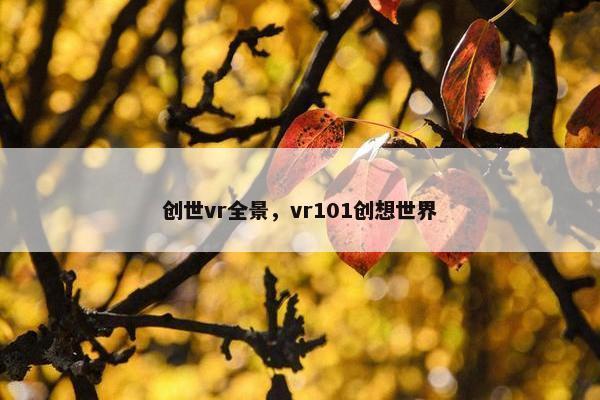 创世vr全景，vr101创想世界