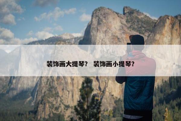 装饰画大提琴？ 装饰画小提琴？