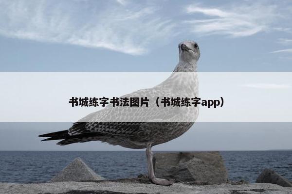 书城练字书法图片（书城练字app）