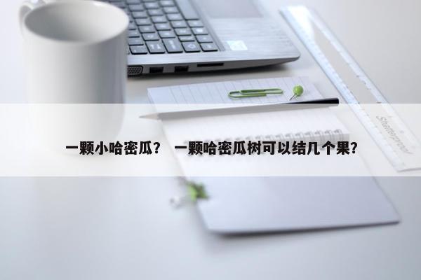 一颗小哈密瓜？ 一颗哈密瓜树可以结几个果？