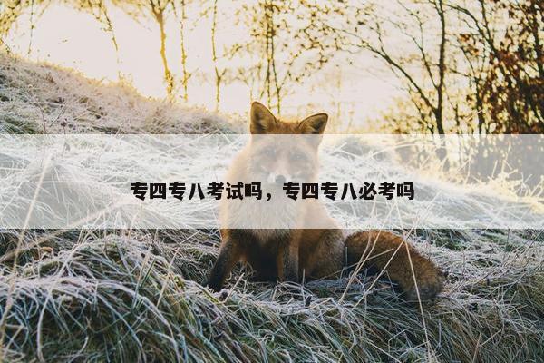 专四专八考试吗，专四专八必考吗