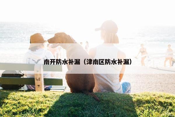 南开防水补漏（津南区防水补漏）