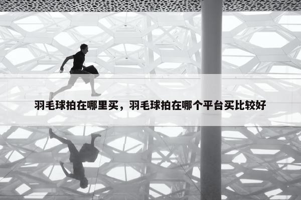羽毛球拍在哪里买，羽毛球拍在哪个平台买比较好