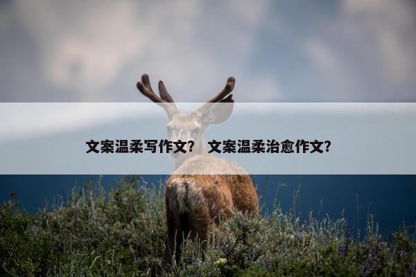 文案温柔写作文？ 文案温柔治愈作文？