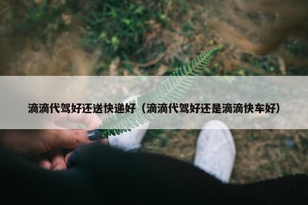 滴滴代驾好还送快递好（滴滴代驾好还是滴滴快车好）