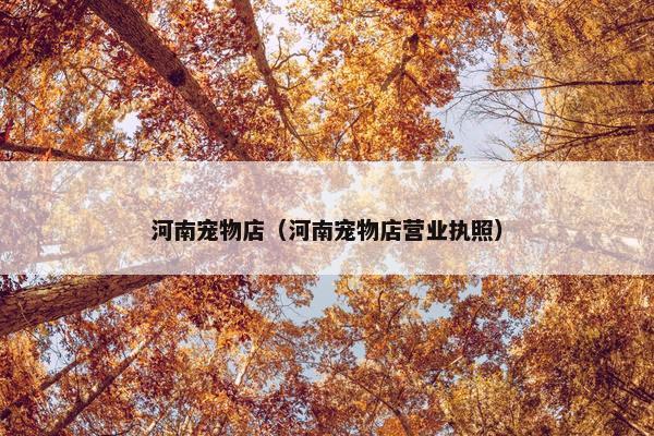 河南宠物店（河南宠物店营业执照）