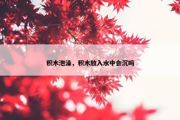 积木泡澡，积木放入水中会沉吗