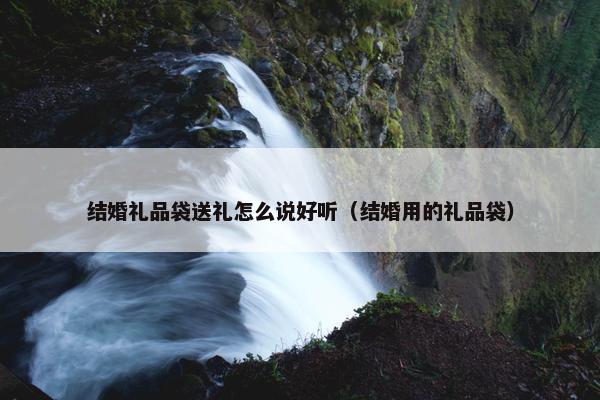 结婚礼品袋送礼怎么说好听（结婚用的礼品袋）