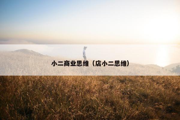 小二商业思维（店小二思维）