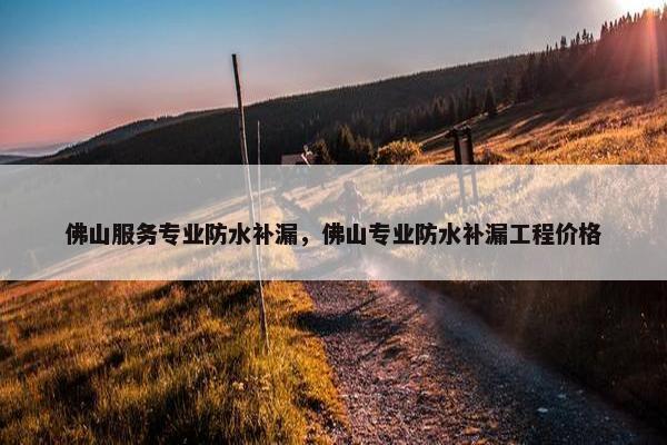 佛山服务专业防水补漏，佛山专业防水补漏工程价格