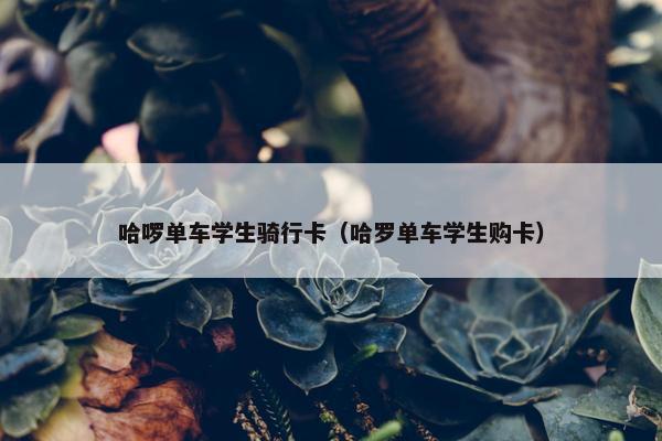 哈啰单车学生骑行卡（哈罗单车学生购卡）
