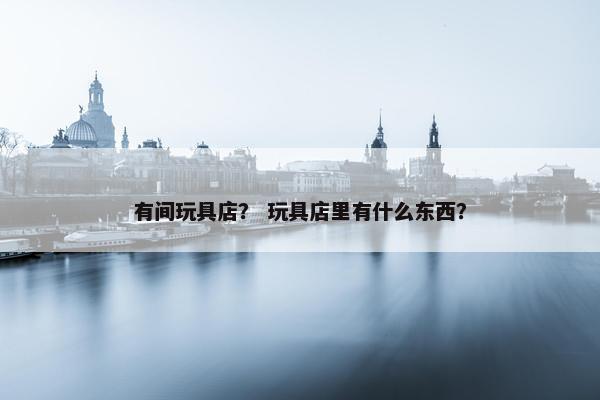 有间玩具店？ 玩具店里有什么东西？