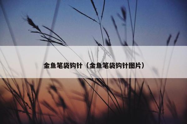 金鱼笔袋钩针（金鱼笔袋钩针图片）