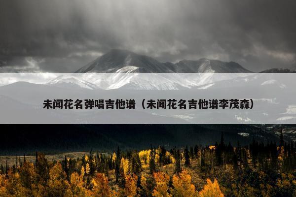 未闻花名弹唱吉他谱（未闻花名吉他谱李茂森）