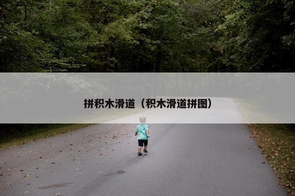 拼积木滑道（积木滑道拼图）