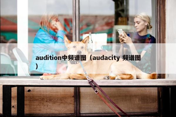 audition中频谱图（audacity 频谱图）