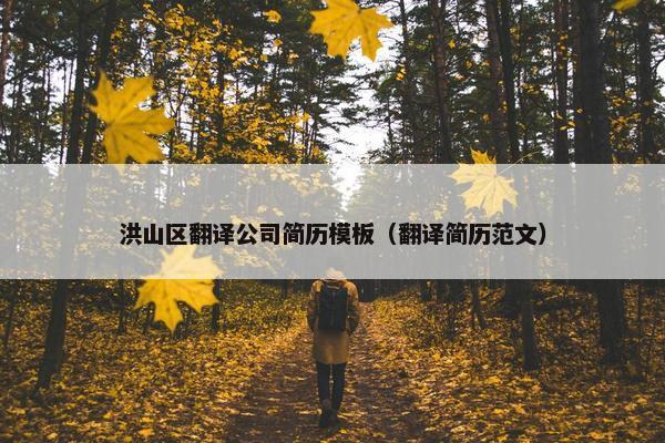 洪山区翻译公司简历模板（翻译简历范文）