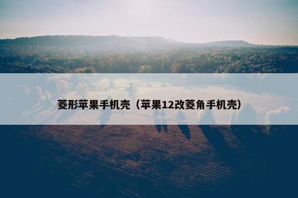 菱形苹果手机壳（苹果12改菱角手机壳）