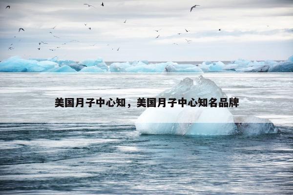 美国月子中心知，美国月子中心知名品牌