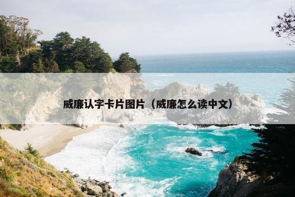 威廉认字卡片图片（威廉怎么读中文）