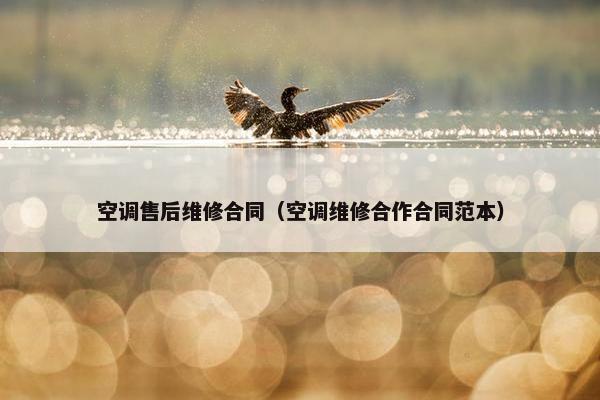 空调售后维修合同（空调维修合作合同范本）