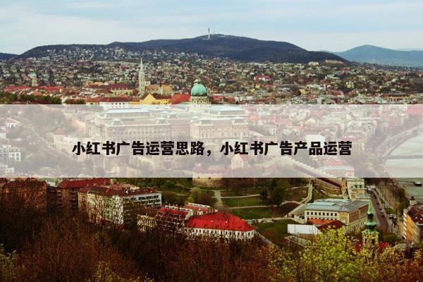 小红书广告运营思路，小红书广告产品运营