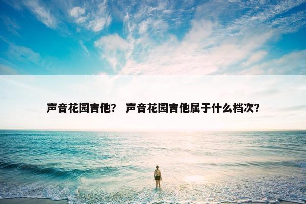 声音花园吉他？ 声音花园吉他属于什么档次？