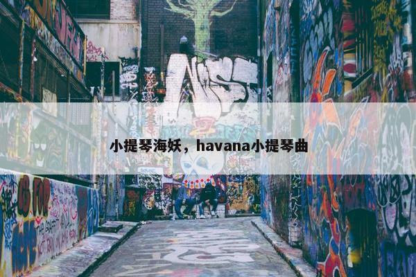 小提琴海妖，havana小提琴曲