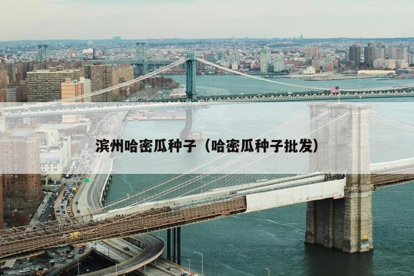 滨州哈密瓜种子（哈密瓜种子批发）