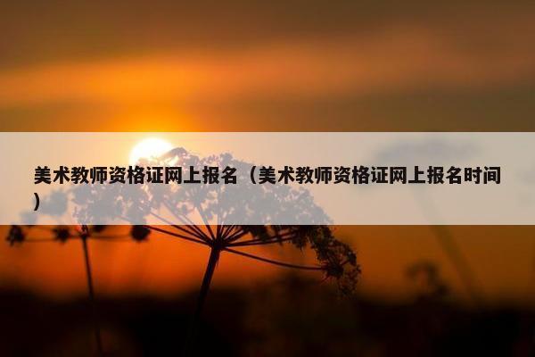 美术教师资格证网上报名（美术教师资格证网上报名时间）