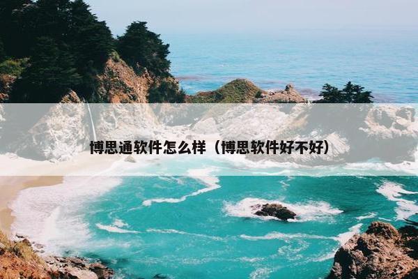 博思通软件怎么样（博思软件好不好）