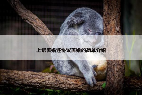 上诉离婚还协议离婚的简单介绍