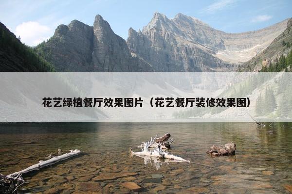 花艺绿植餐厅效果图片（花艺餐厅装修效果图）