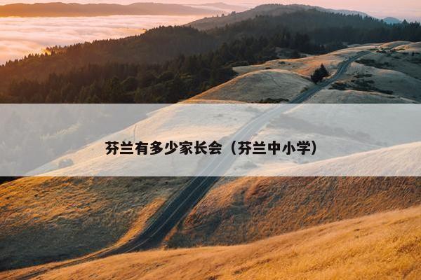 芬兰有多少家长会（芬兰中小学）