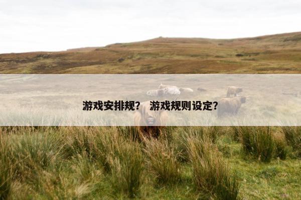 游戏安排规？ 游戏规则设定？